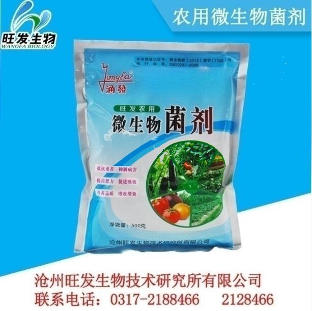 農(nóng)用微生物菌劑 土壤健康與作物增產(chǎn)的綠色動力